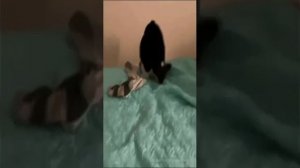 Живи в ЛЮБВИ, всегда кайфуй! ❤️💯✌️