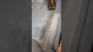 Пытаемся восстановить родной цвет на торпедо ГАЗ ГАЗель/Соболь строительным феном.