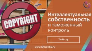 Особенности таможенного контроля интеллектуальной собственности. Фрагмент о документах