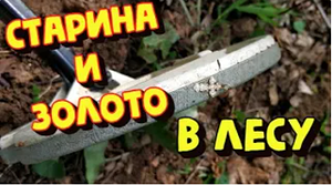 ЗОЛОТО В ЛЕСУ. Поиск старины с металлоискателем XP ORX. КОП 2022.