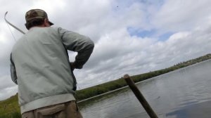 Охота с луком на толстолоба (bowfishing)