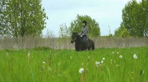 В Поля Верхом на Пони/без уздечки,без железа