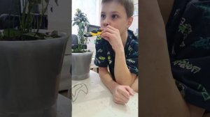 "казу" музыкальный инструмент обзор