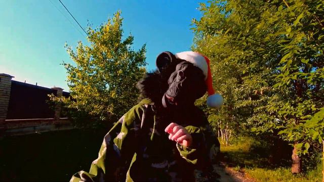 ПОСЛЕ САМОИЗОЛЯЦИИ ... | 2020 год|by Просто LIFE смотреть онлайн