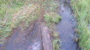 Озеро Крюковка