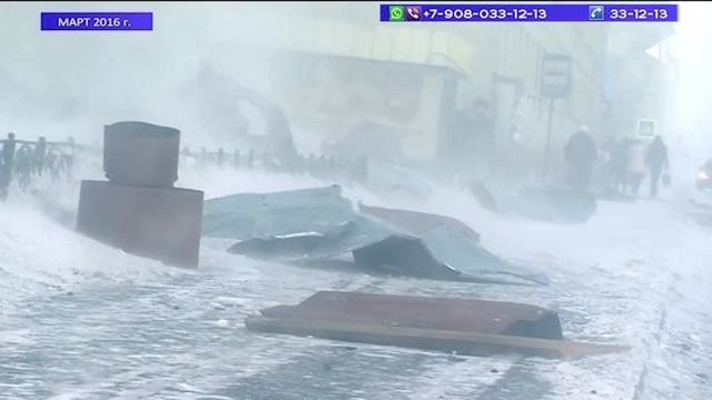 28.09.21.«Новости Северного города». История с душком. Поймали волка? Важная оценка смотреть онлайн