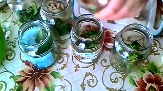 Консервированные помидоры, чудесный рецепт