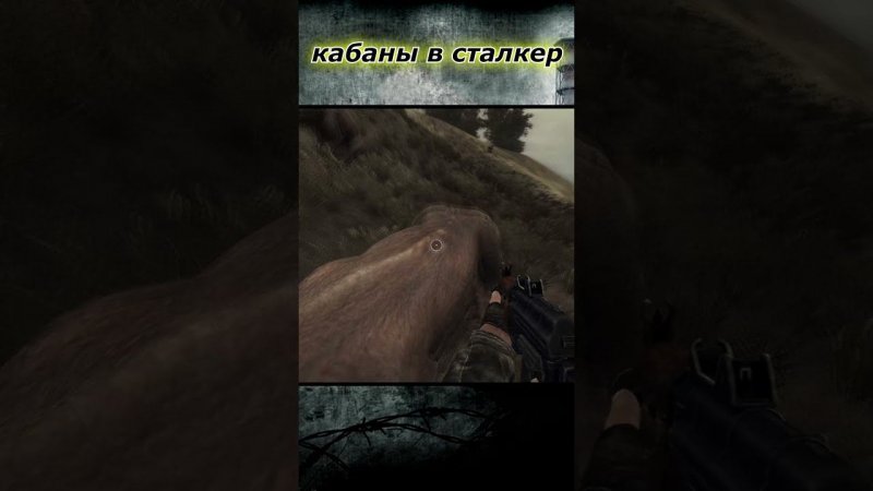 Кабаны в Сталкер! Stalker Lost Alpha