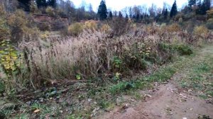 Покатушка до заброшенной 25 школы Сержантов под Тимоново.4 часть. 10 октября 2020 года.