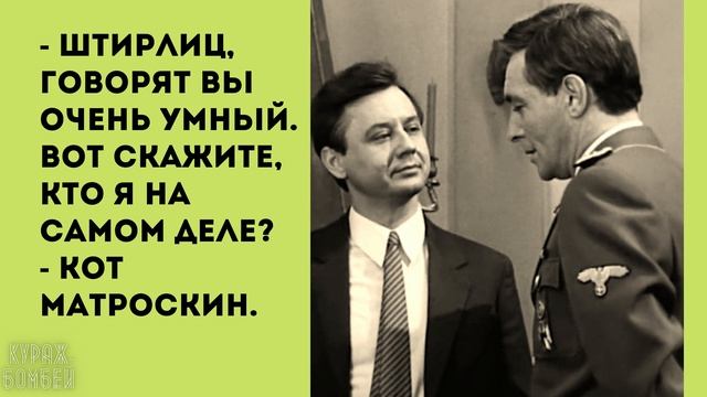 Анекдот в картинках от КУРАЖ БОМБЕЙ. Выпуск 108: заблудился в Подмосковье, пузико и характеристика