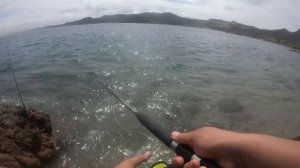 Hunting Kingfish at the Hokianga Harbour Mouth  Ep: 53