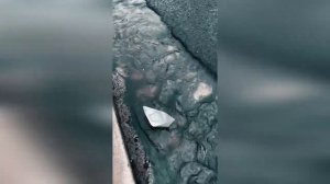 ПЛЫВИ,МОЙ КОРАБЛИК БУМАЖНЫЙ....