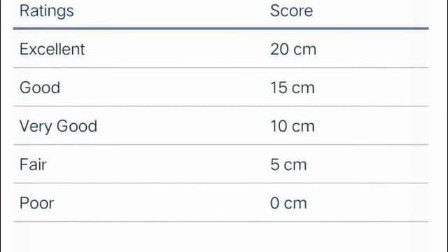 TRUNK ROTATION FLEXIBILITY TEST смотреть онлайн