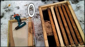 Осиное гнездо в ловушке. Улья ППУ в омшаннике. Нефтекамск.