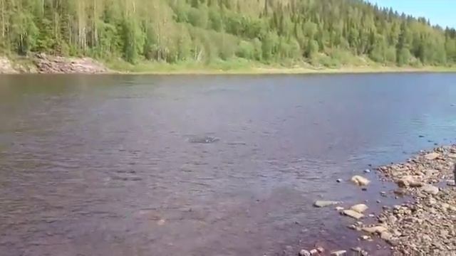 Варзуга рыбалка смотреть онлайн