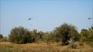 Донгуз. Оренбургская область. Учения 2019.