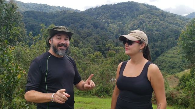 FLORESTA DE BWINDI, A CASA DOS GORILAS EM UGANDA смотреть онлайн