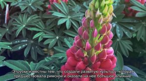 Кем были этруски на самом деле: ученые раскрыли тайну их происхождения