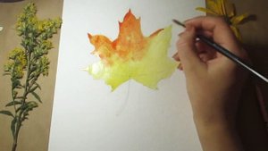 РИСУЕМ КЛЕНОВЫЙ ЛИСТ ПОШАГОВО - АКВАРЕЛЬЮ. Осенние рисунки для начинающих