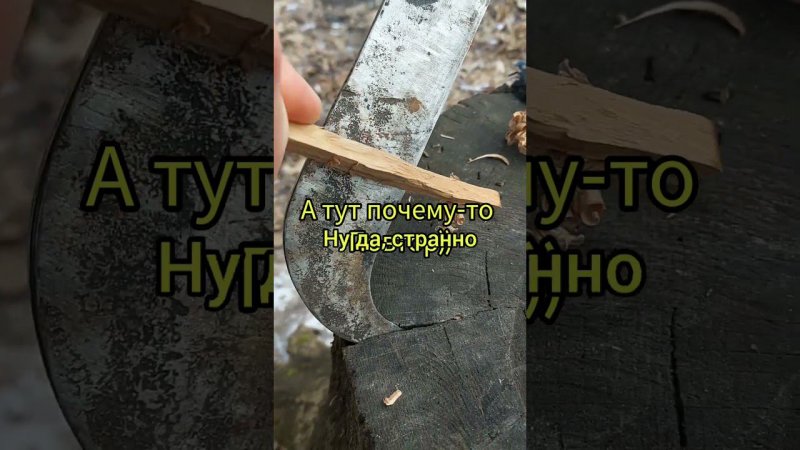 МАЧЕТЕ ПРОТИВ ПЛАСТИКОВОЙ ЛЕЙКИ КТО ПОБЕДИТ #forestroach  #выживание  #knife #bushcraft #бушкрафт