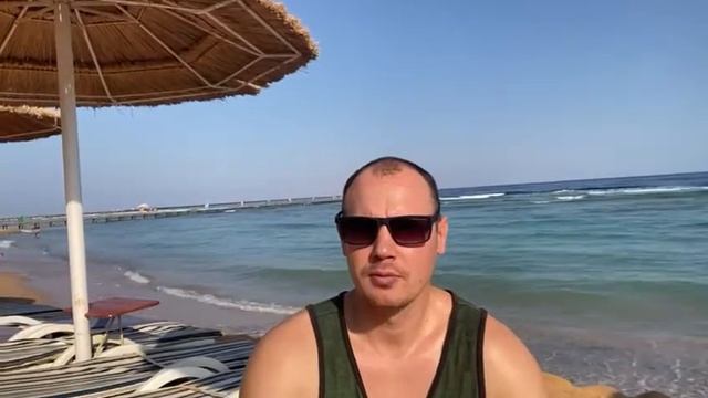 продать или купить поддоны и паллеты смотреть онлайн