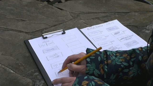 Составляем севооборот для своего огорода