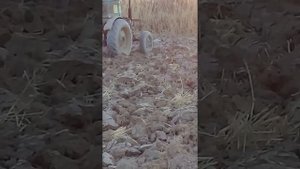 т40 с двигателем д240 дилинабаз