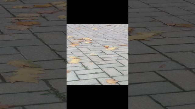 прогулка