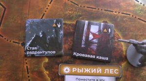 Обзор настольной игры Зона тайны Чернобыля