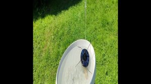 фонтанДляДуши .mp4