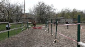 Обучение лошади.Учимся прыгать.Шпринт.
