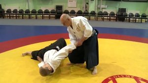 Айкибудо и Катори Синто рю. Международный семинар. 2015