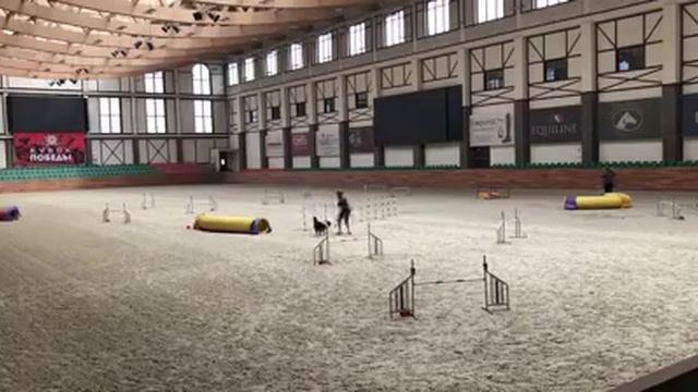 Джампинг, судья Курочкин (снятие) смотреть онлайн