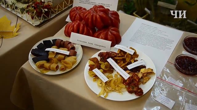 Выставка "Осенний листопад" в Музее экологии и охраны природы. Набережные Челны (октябрь 2019) смотреть онлайн