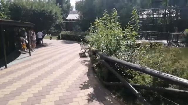 Зоопарк Нижний Новгород