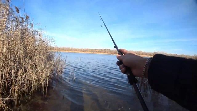 ОБЗОР СПИННИНГА - #Favorite SkyLine ML смотреть онлайн