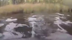 Это ШОК,СЕНСАЦИЯ,РОССИЯ! Щука утопила лодку!