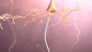 Сотрясение головного мозга в замедленной съёмке.