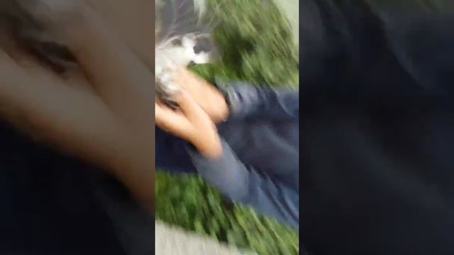 Нашли удота смотреть онлайн