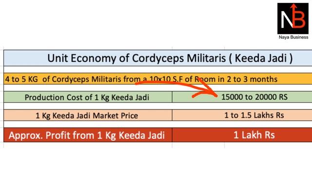 Best Business Ideas 2022 | Keeda Jadi farming business in India | Cordyceps Militaris Business
