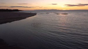 Заказник "Западный Котлин"