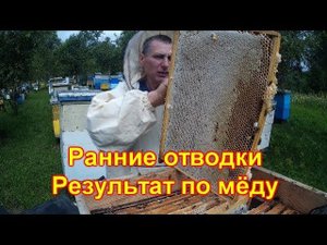 Ранние отводки, результат по мёду