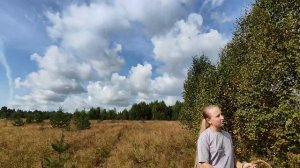 Николай Рубцов " У сгнившей лесной избушки...".