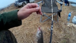 Осенняя Рыбалка на Речке Суйфун Ловля Рыбы на Спиннинг!