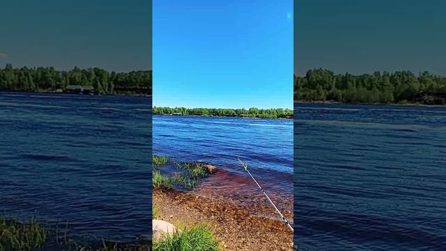 рыбалка на большой Волге !Дубна.