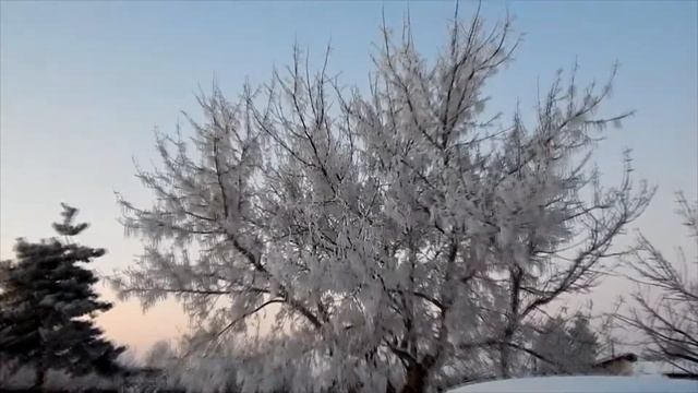 Начало зимы Деревенские зарисовки Пробная видеосъёмка на фотоаппарат