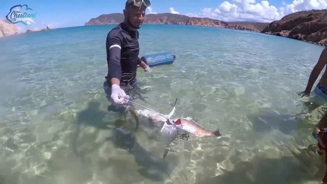 [4K] Travel to Venezuela and Explore Mochima National Park with Alejandro as Your Tour Guide 🇻🇪 смотреть онлайн