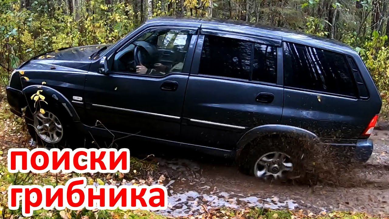 ПОИСК ПРОПАВШЕГО ГРИБНИКА. ДЕНЬ 4 смотреть онлайн