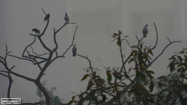 Nikon B500 REVIEW - BEST Beginner zoom camera (Point & shoot) 2020! Photo + Video TEST! смотреть онлайн