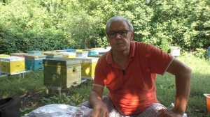 СРЕДСТВО против ВИРУСНЫХ ЗАБОЛЕВАНИЙ пчел и для повышения их жизнедеятельности